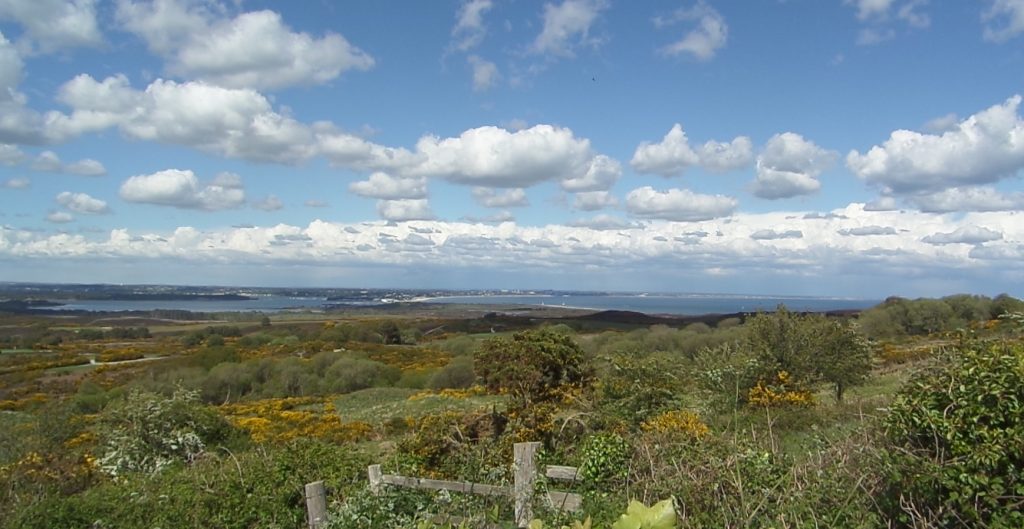 A distant picture of the sea from the top of a hill
